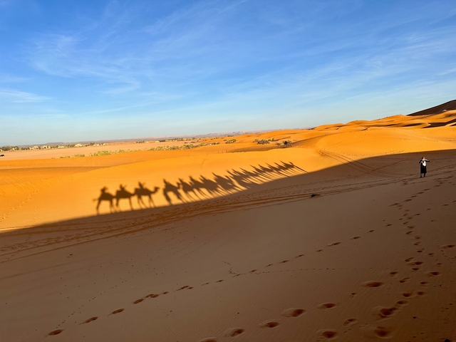 Desert scene with camel shadows and dunes.