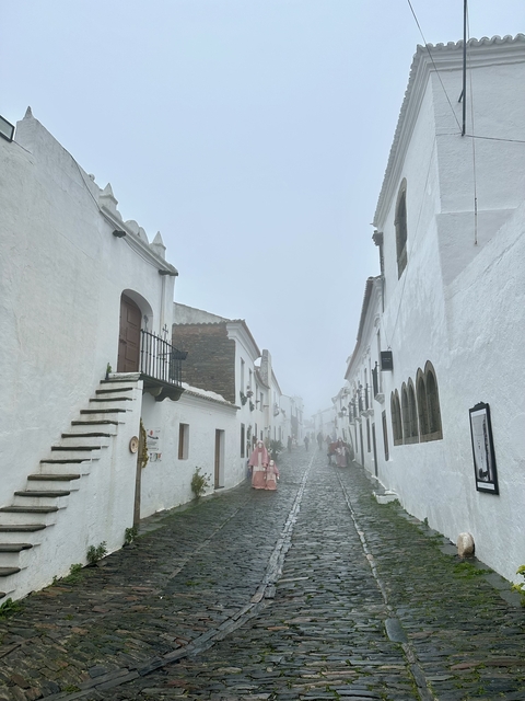       Narrow cobblestone street lined with white buildings.
  