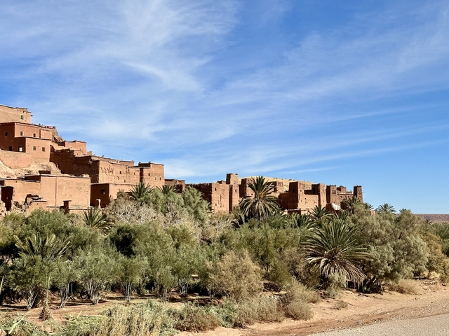       A scenic view of ancient buildings on a hillside with palm trees in the foreground.
  