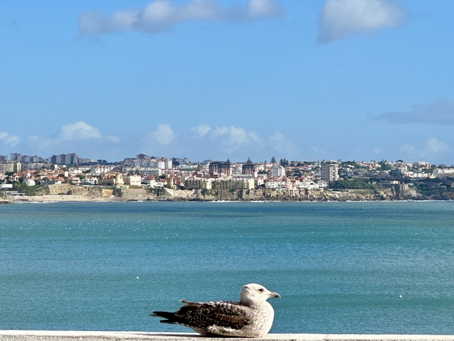       Seaside view showing a coastal city and the ocean.
  