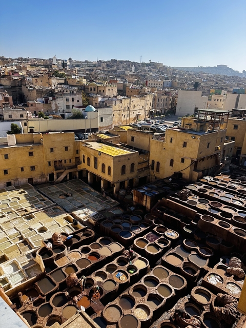       Bird's eye view of a tannery with multiple stone vessels.
  
