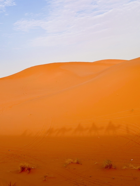       Bright orange sand dunes under a clear sky.
  