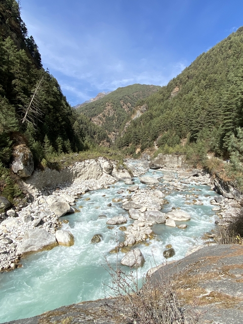       A flowing river with rocks and surrounding green forest.
  