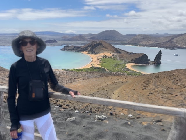       A person posing with a scenic view of a bay and volcanic formations.
  