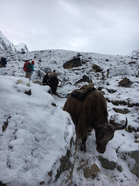 Klantbeoordelingsfoto van 11 dagen Korte Everest Basiskamp Trek 