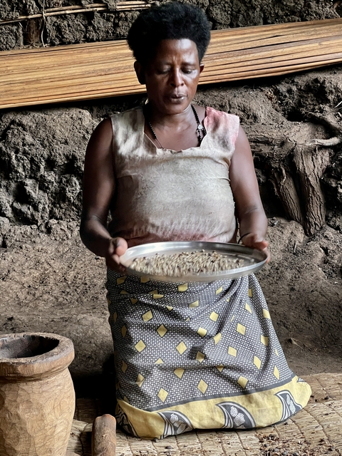 Person holding a tray with seeds.