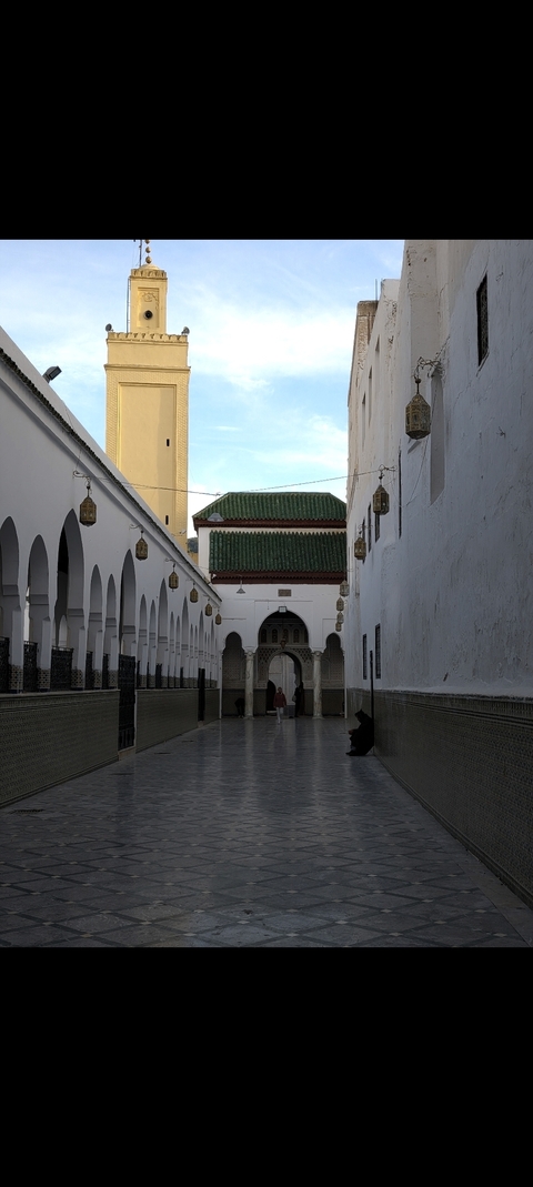 Traditional Moroccan alley with intricate architecture.