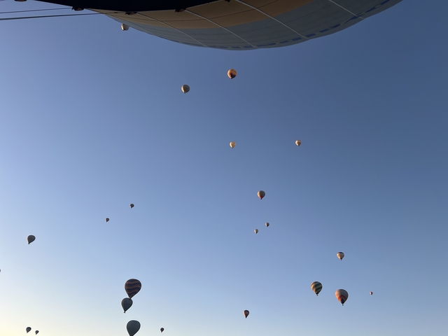       Hot air balloons against clear blue sky
  