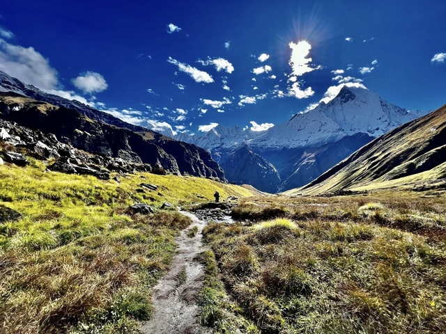       Trekker walking on a path surrounded by mountains and green meadows.
  
