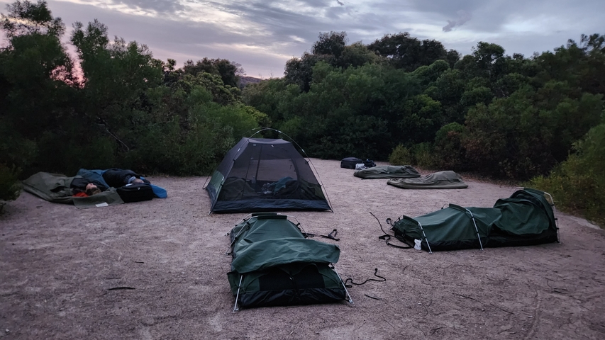       Several tents set up in a forested campsite at dusk.
  