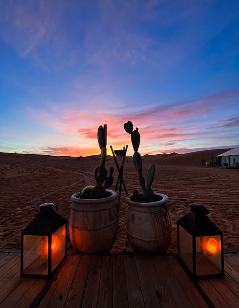 Sunrise over the desert with cactus silhouettes.