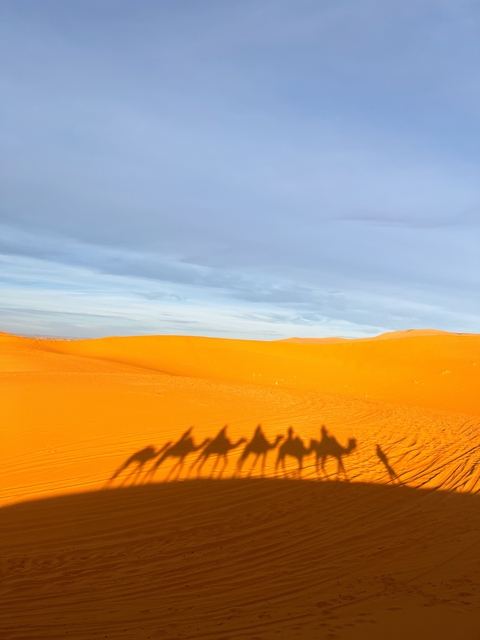 View of the desert dunes with shadows and wide sky.