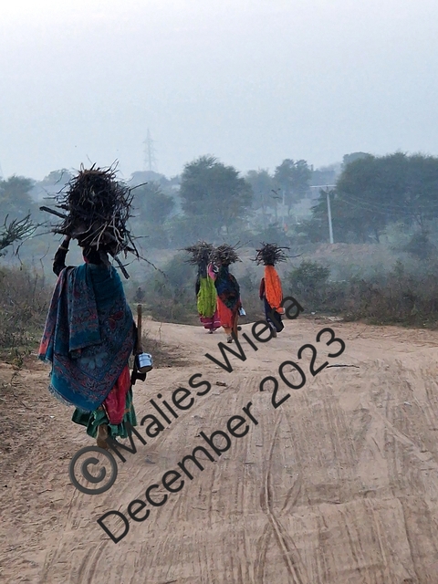       Women carrying bundles on a dusty road with a watermark.
  