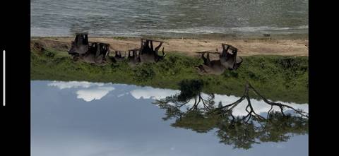 Elephants by a riverbank with lush greenery.