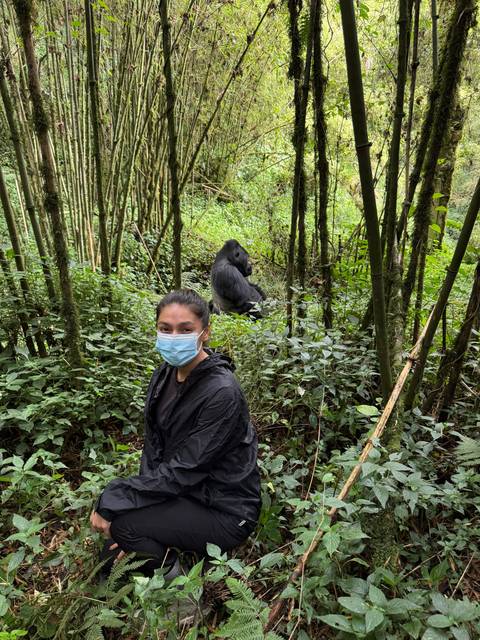 Person sitting in a forest with a gorilla behind.
