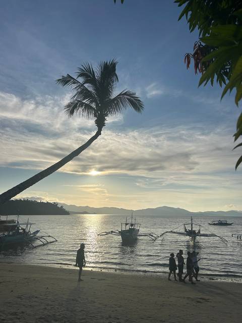 Beach scene with palm trees and boats on the ocean.