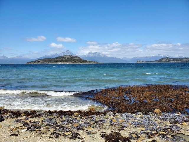 Ocean waves and seaweed on a pebble beach with mountains in the background.