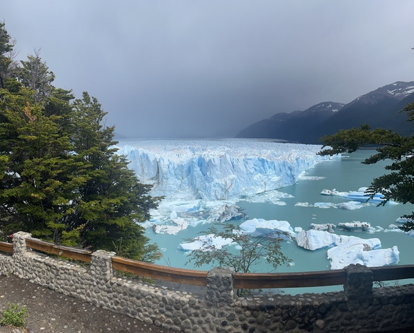 Glacier with icebergs and trees in the foreground.