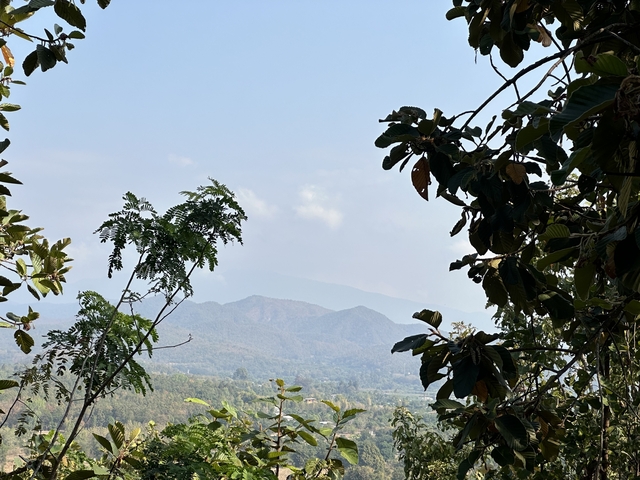       Landscape view with mountains and trees.
  