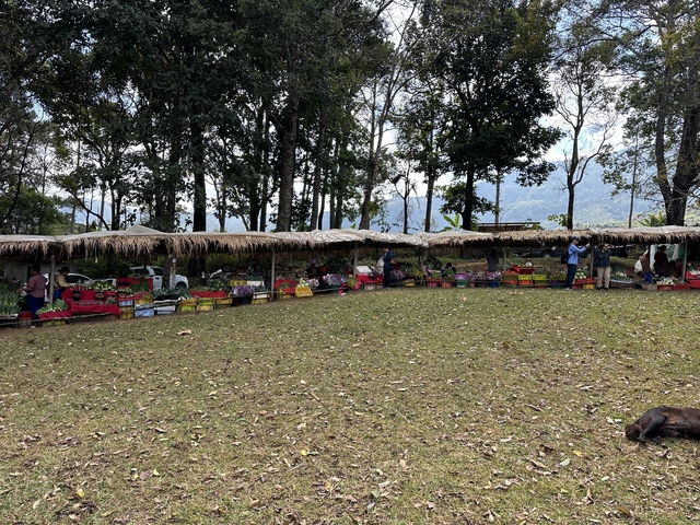       Outdoor market setup with various stalls.
  