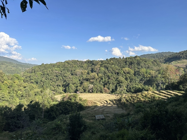       Landscape view with fields and forested hills.
  