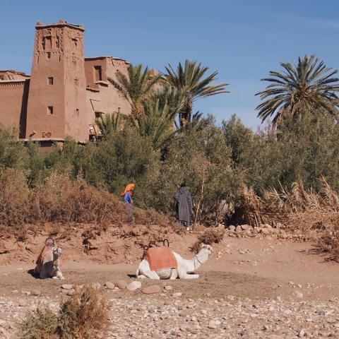       Two people walking near a traditional structure with trees.
  