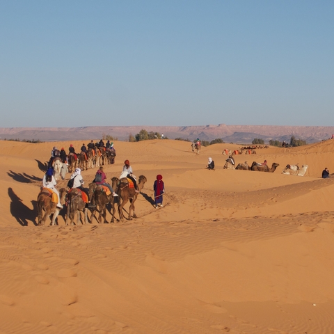      Group of people riding camels in a desert landscape, likely at sunrise or sunset. The background has flat, sandy desert landscape with mountains.
  