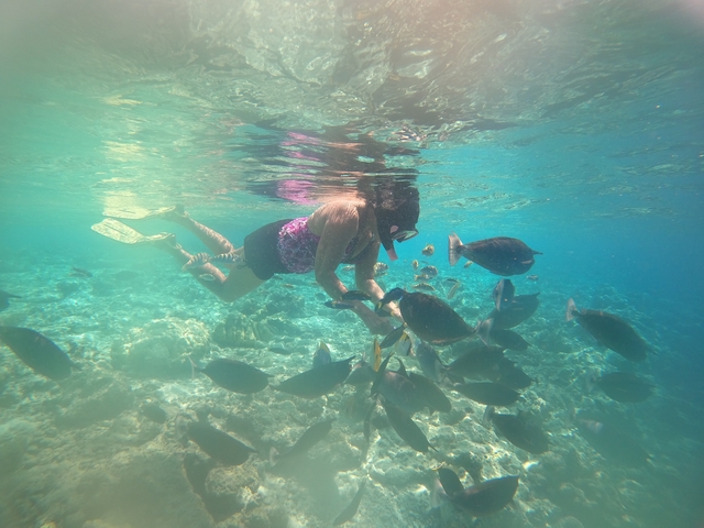      Person diving underwater surrounded by fish.
  
