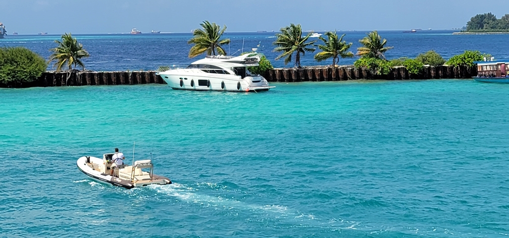       Two boats on the ocean with palm trees in the background.
  