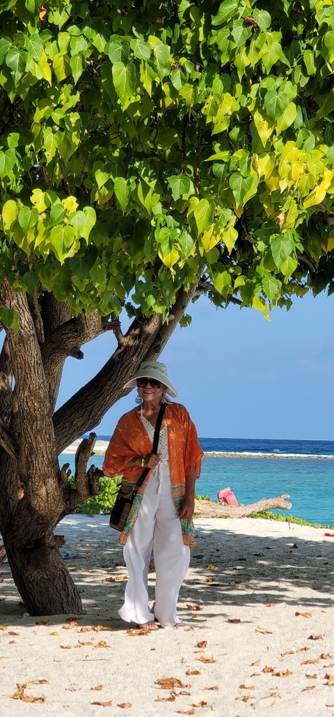       Woman standing under a tree by the ocean.
  