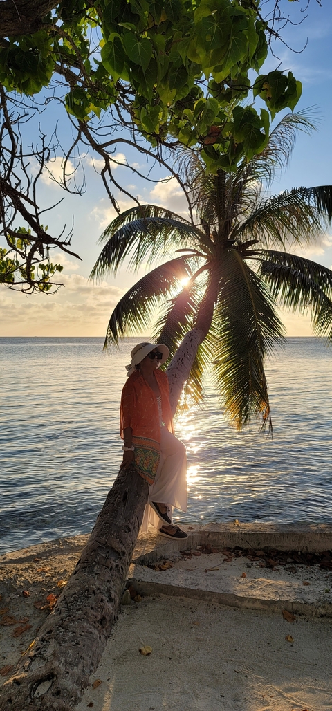       Woman posing by the sea with palm tree during sunset.
  