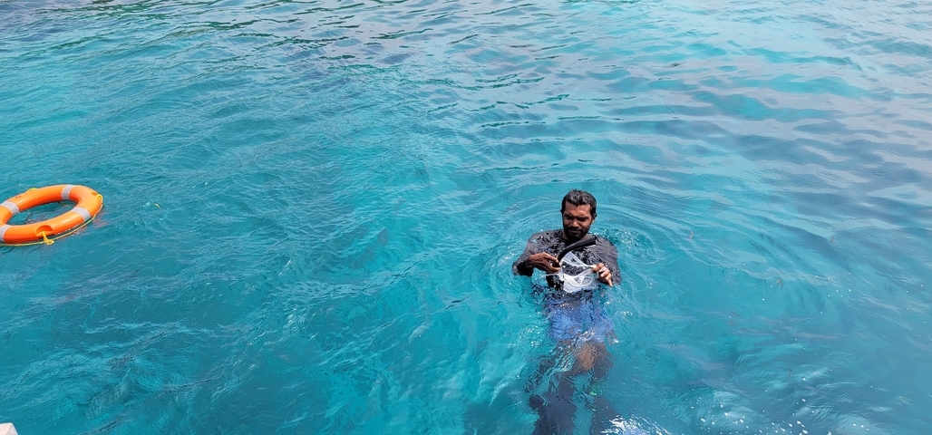       Person swimming in the ocean with snorkel mask.
  