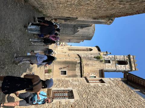 Group of people walking in a historic stone-paved street.