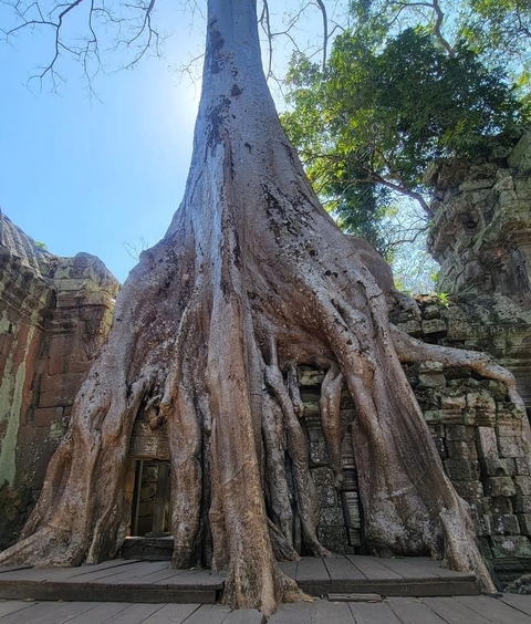 Klantbeoordelingsfoto van Ongelooflijk Vietnam & Cambodja - 15 dagen 