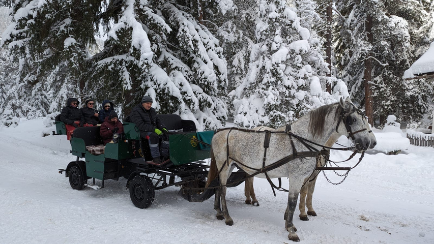      A family enjoying a horse-drawn sleigh ride through a snowy forest.
  