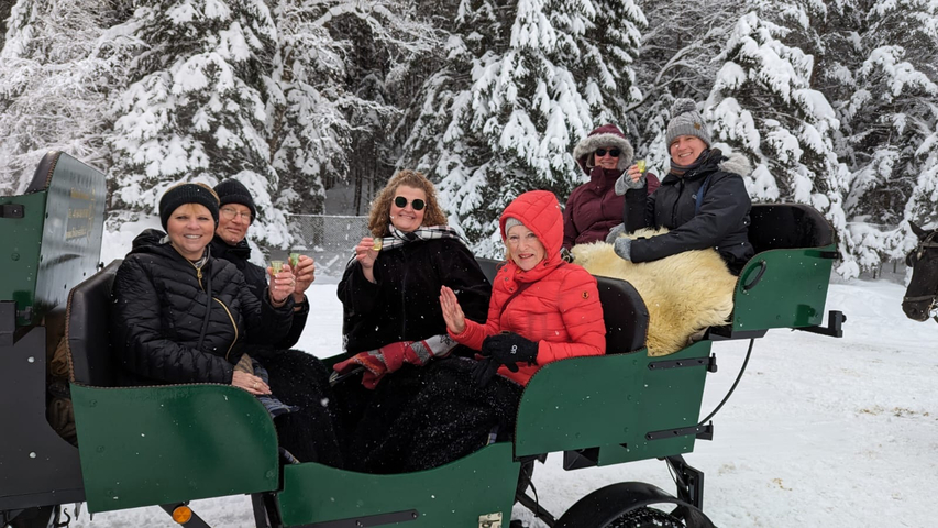       People enjoying drinks while on a horse-drawn sleigh ride.
  