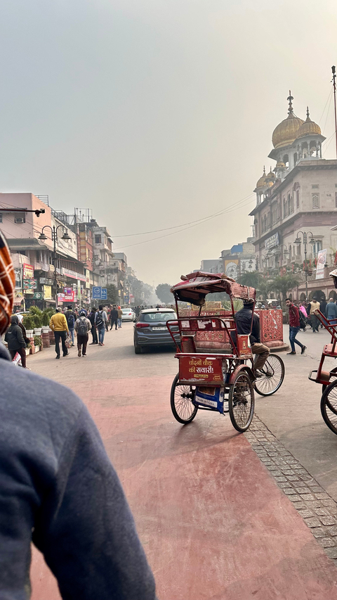       Busy street with a rickshaw and various shops.
  