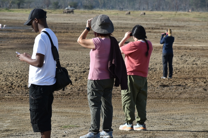       People observing a wildlife area with binoculars.
  