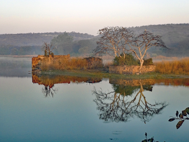 Serene landscape with ruins and tree reflections on water.