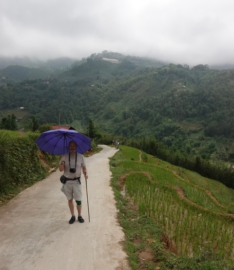 Man walking through lush greenery holding an umbrella.