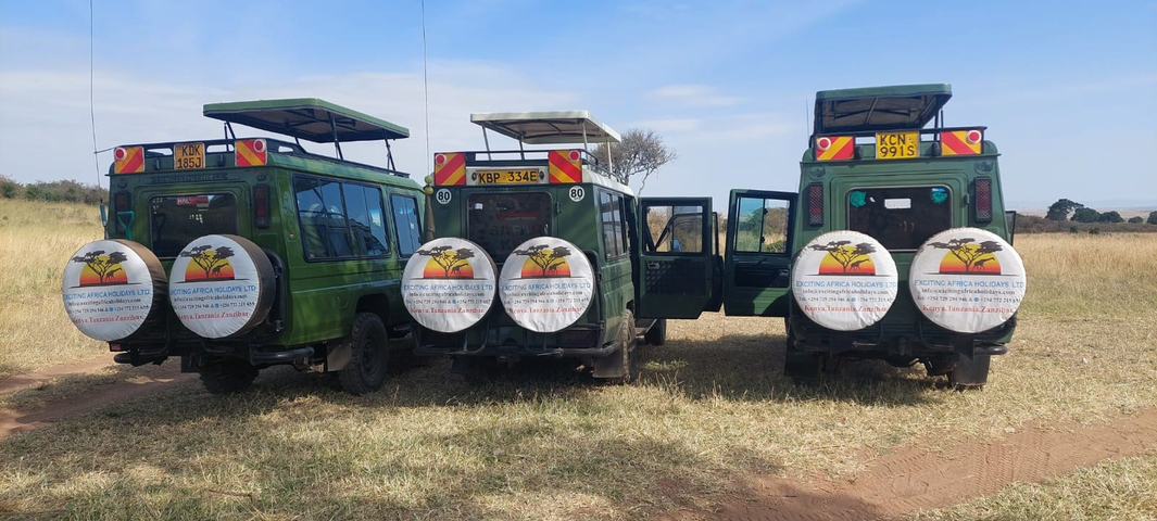 Three green safari vehicles parked in a field.