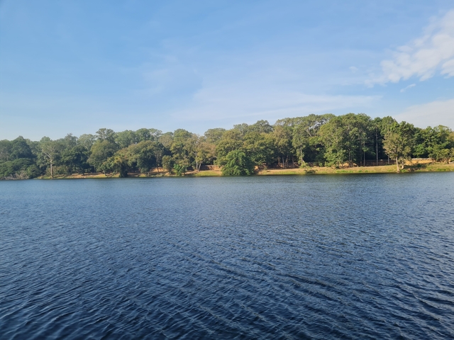       Tree-lined river under a clear sky.
  