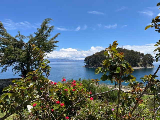 Scenic view of lake with flowers and island