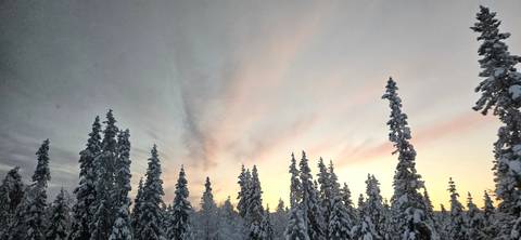 Snowy trees against a colorful sunset sky.