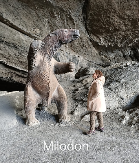 Person standing next to a large bear sculpture in a rocky cave.