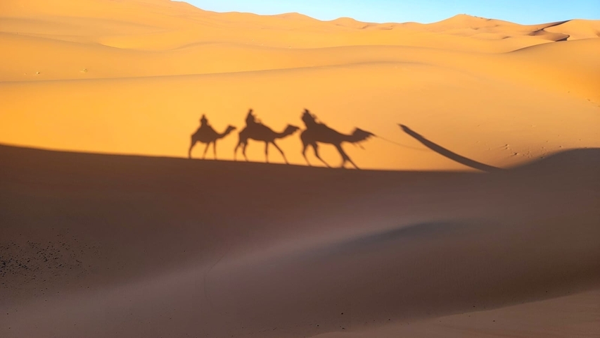 Shadows of camels on sand dunes in a desert.