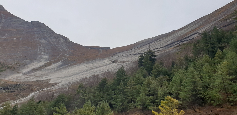 Mountainous landscape with pine trees and rocky slopes.