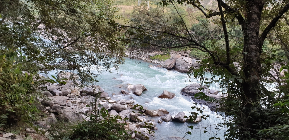 River flowing through a dense forest.
