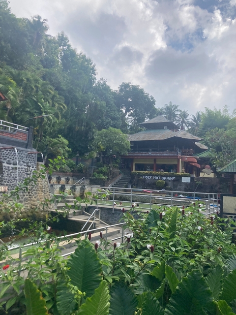 People enjoying a pool near a waterfall.