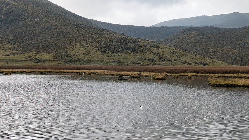       Calm water with hills in the background.
  
